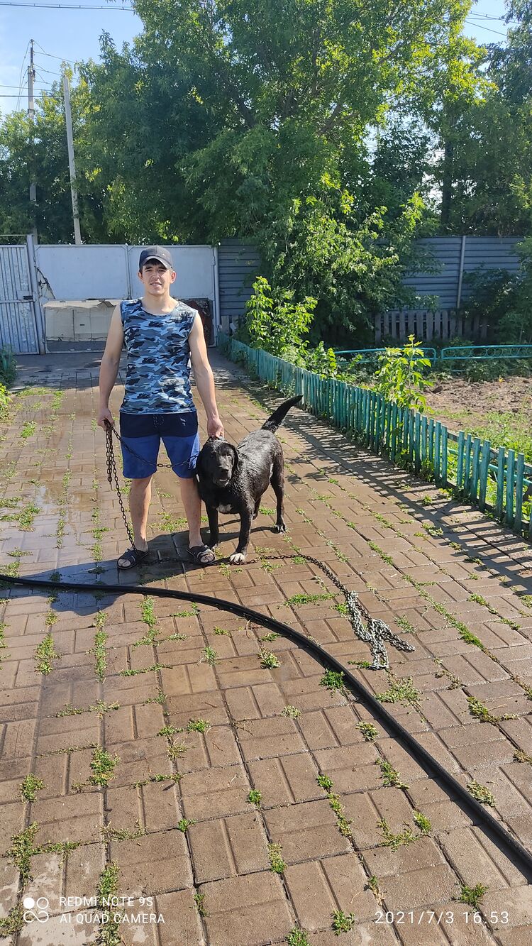 ���� 23318035 ������� A Y E, 26 ���, ���� ���������� � ������