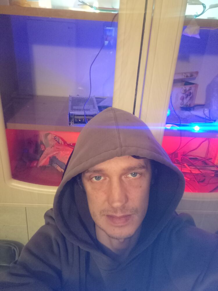  42784555  , 37 ,    -
