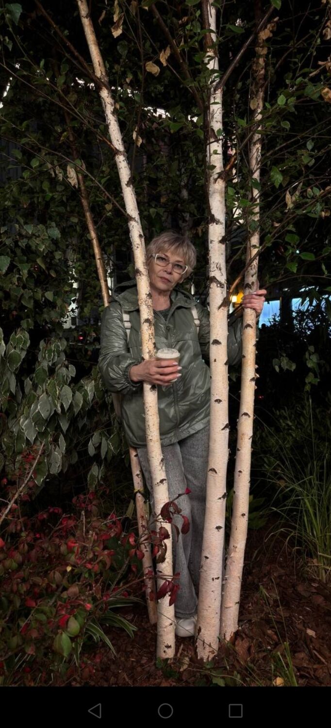 ���������� ������, ���� ������� �����, 55 ���, ������������ ��� ����� � ���������, c�������� ���������, ���������