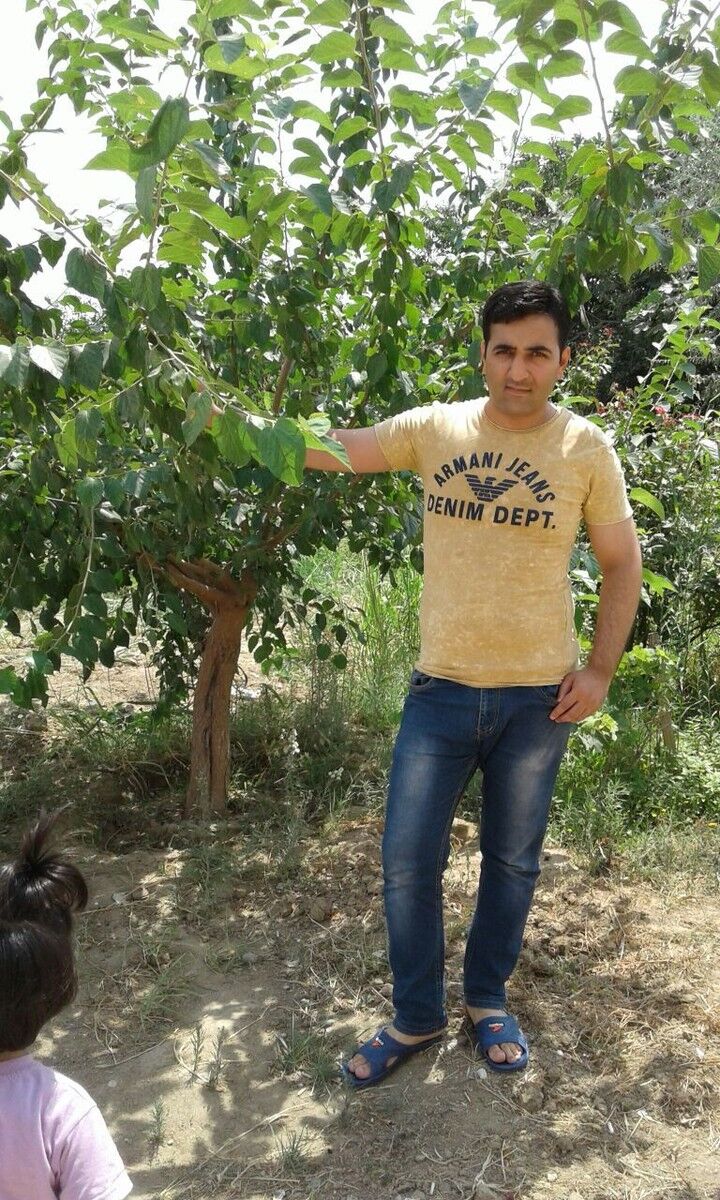  ,   CEMIL, 36 ,   ,   , c 