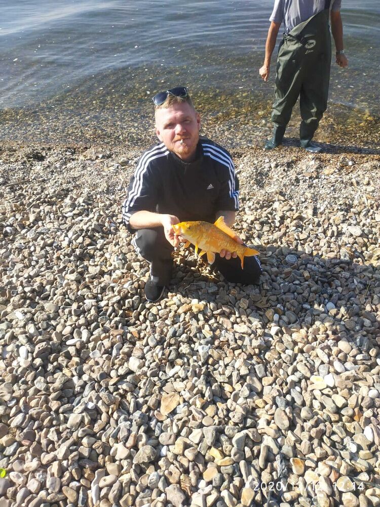  Ashqelon,   , 39 ,   ,   , c 