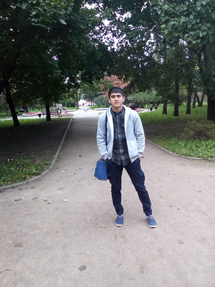  8184045  , 33 ,    -