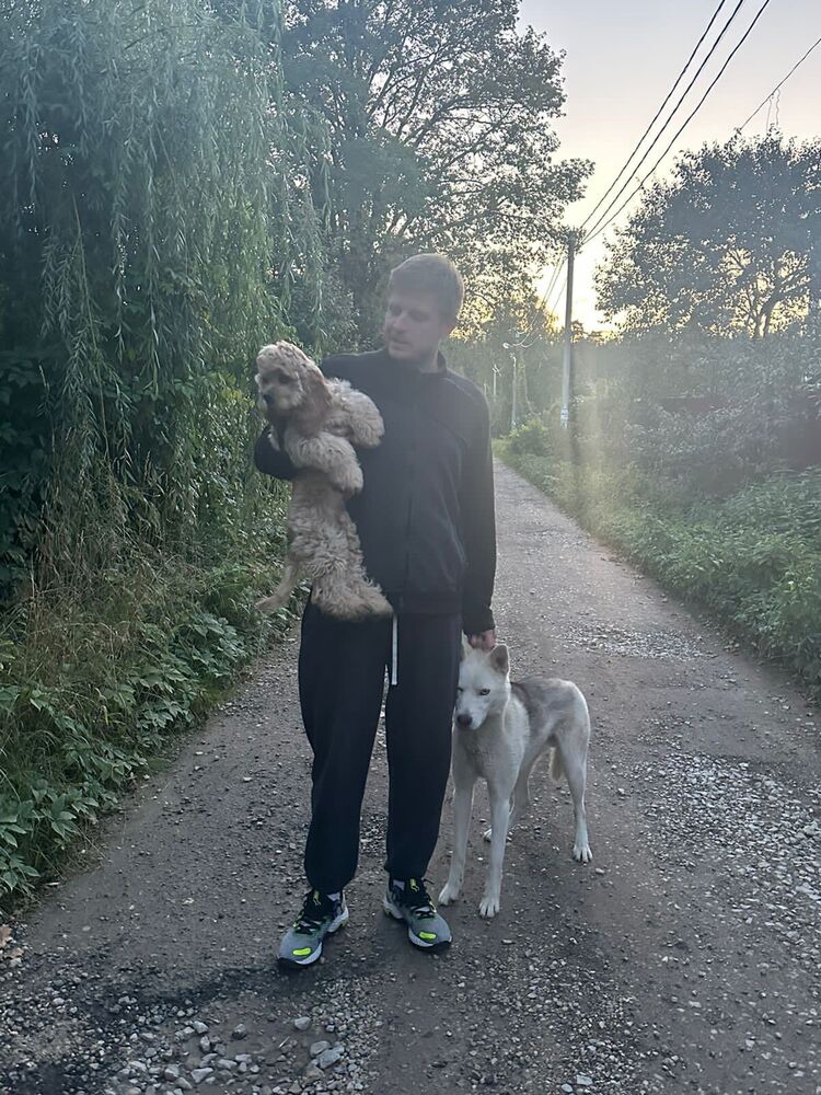 ���� 38197365 ������� �����, 43 ����, ���� ���������� � ������