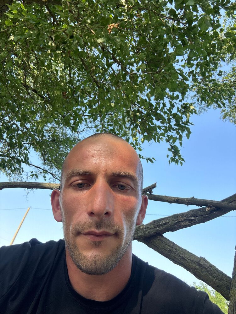  53522485  , 31 ,    