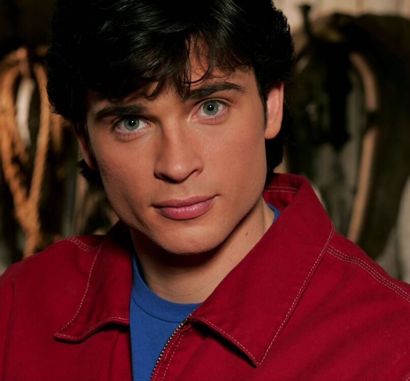 ���� 53263005 ����� ����, 19 ���, ���� ���������� � ������