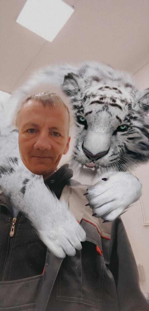 ���������� ������������, ���� ������� ������, 45 ���, ������������ ��� ������, ����� � ���������, c�������� ���������