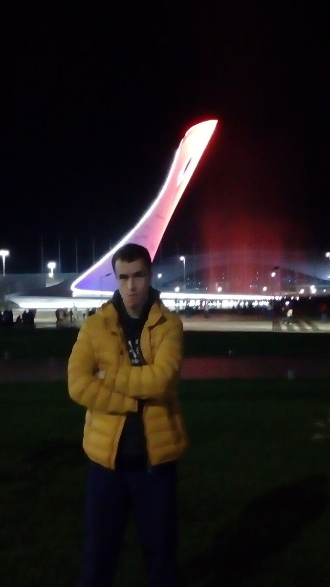  8501995  , 33 ,    -