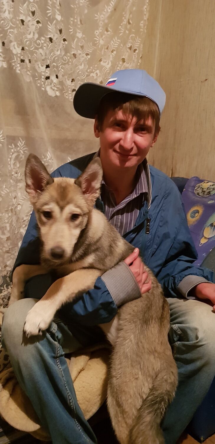 ���������� ������, ���� ������� ���������, 33 ����, ������������ ��� ������, ����� � ���������