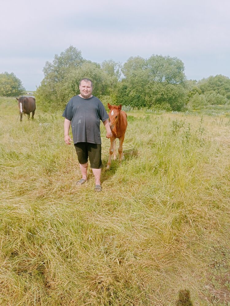 ���������� �����, ���� ������� Eduard, 41 ���, ������������ ��� ������, ����� � ���������, c�������� ���������