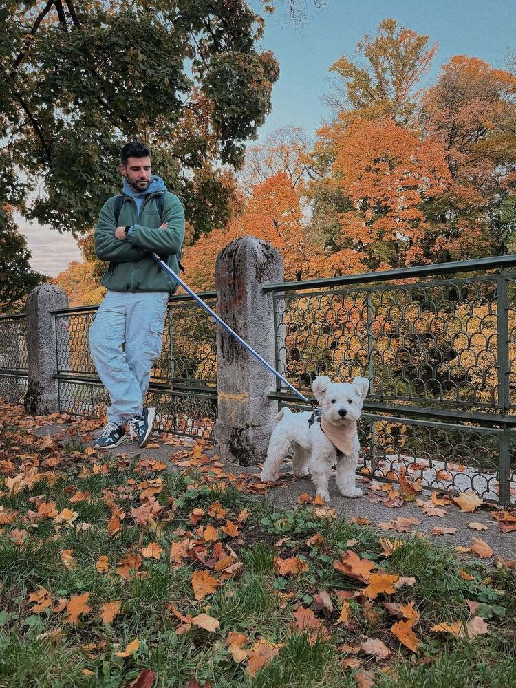 ���� 55781655 ������� ����, 35 ���, ���� ���������� � ������