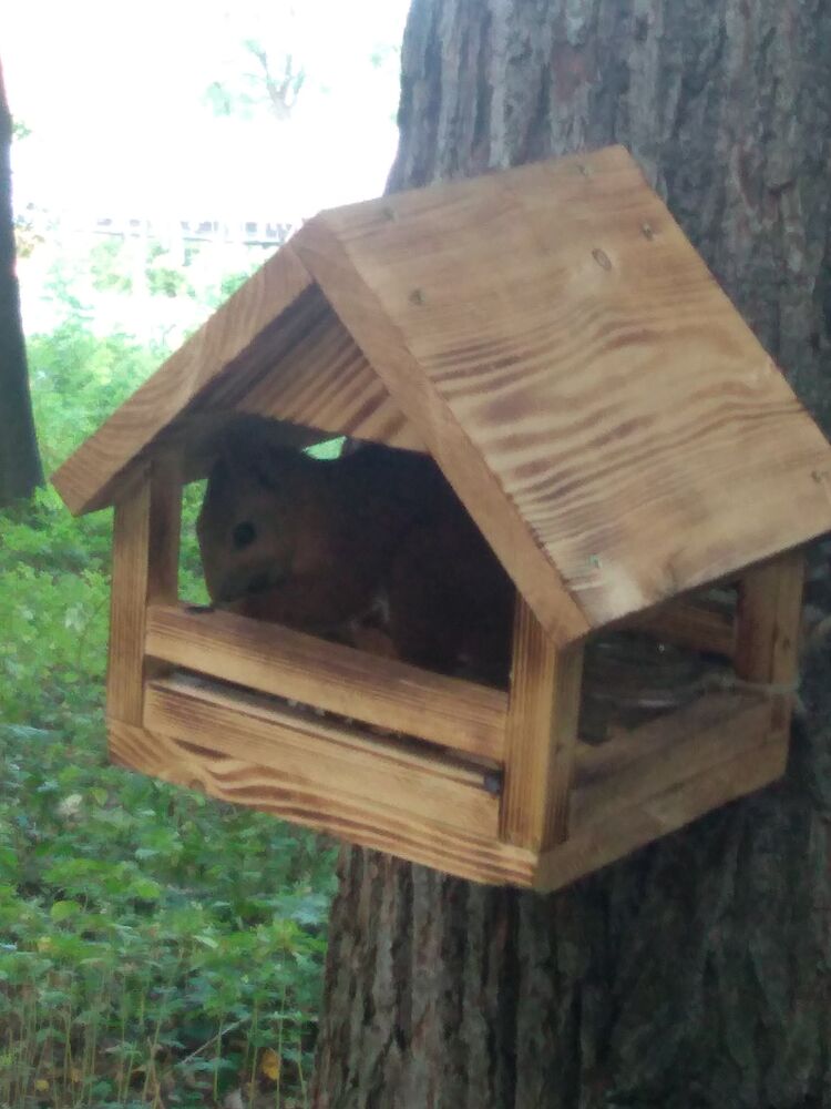 ���������� ������, ���� ������� ����, 42 ����, ������������ ��� ����� � ���������, c�������� ���������, ���������