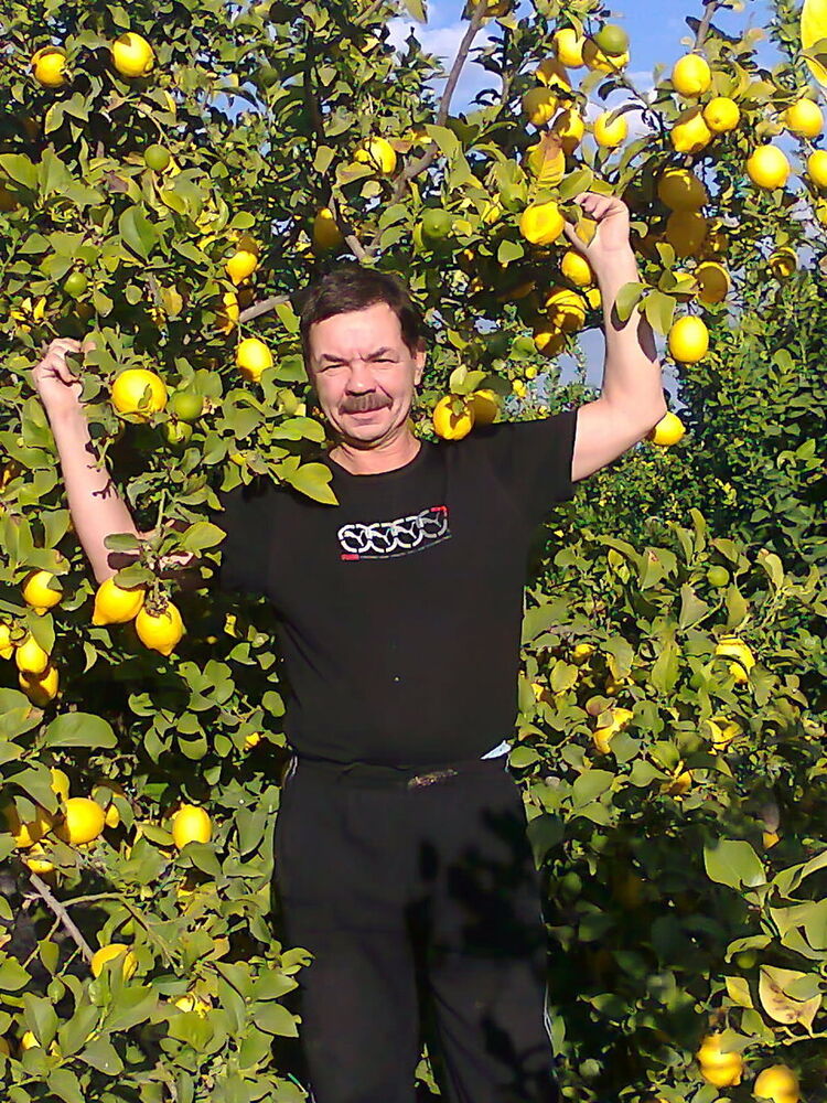  ,   Viktor, 67 ,     , c 