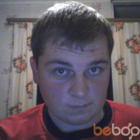 ���� 1334375 ������� Ellitex, 36 ���, ���� ���������� � �����