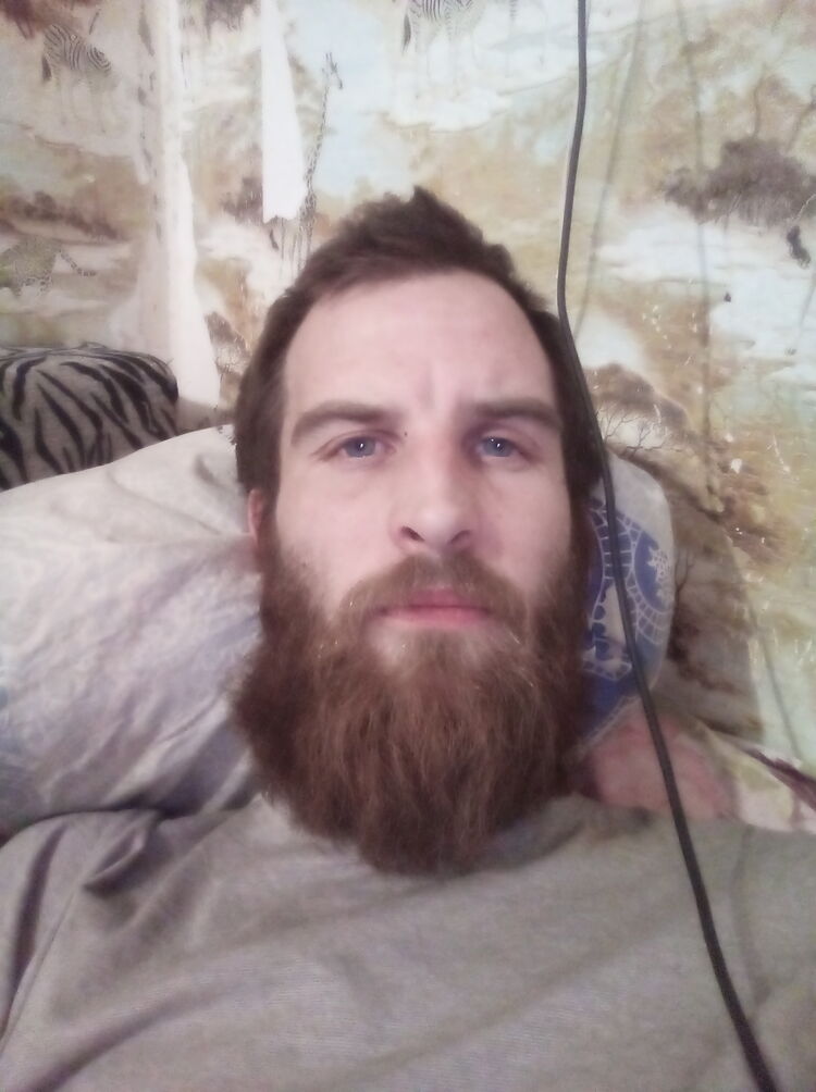  31240425  , 35 ,    