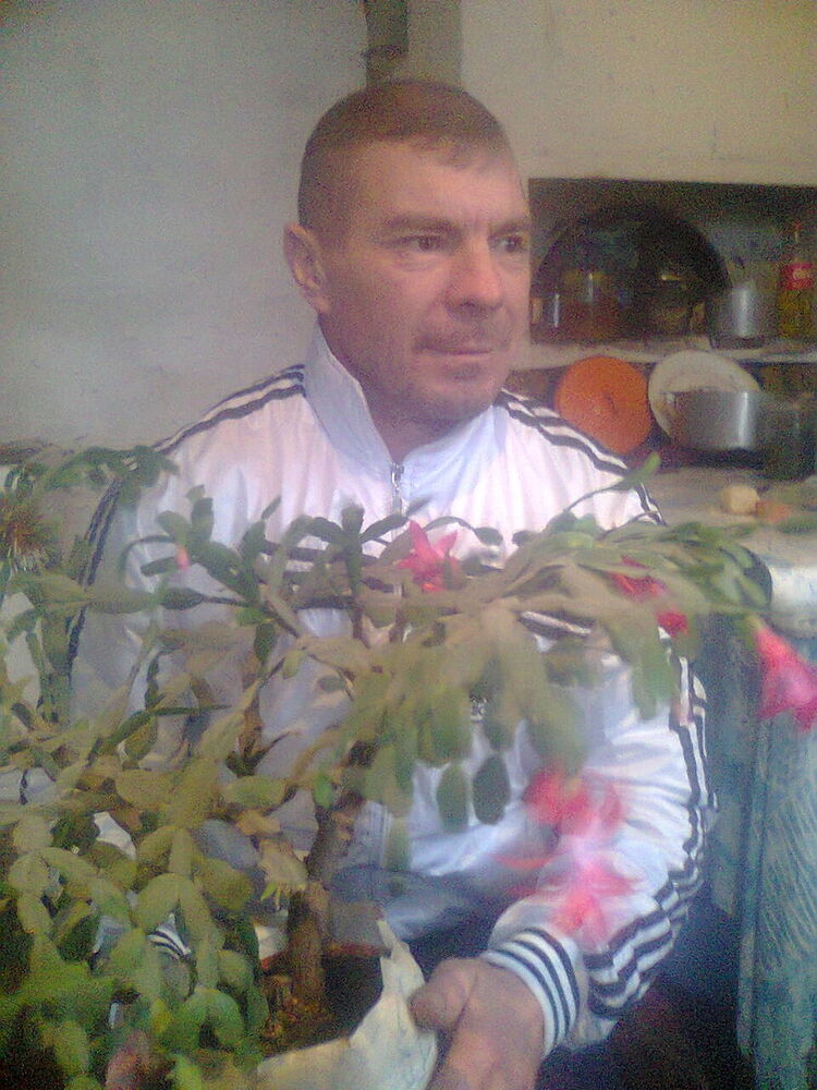  ,   Radu, 49 ,   ,   , c 