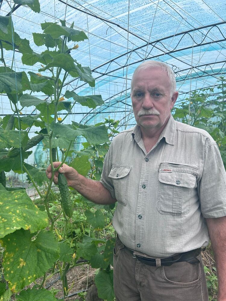 ���������� �������, ���� ������� �������, 61 ���, ������������ ��� c�������� ���������