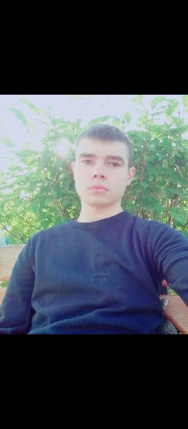  31124885  , 29 ,    