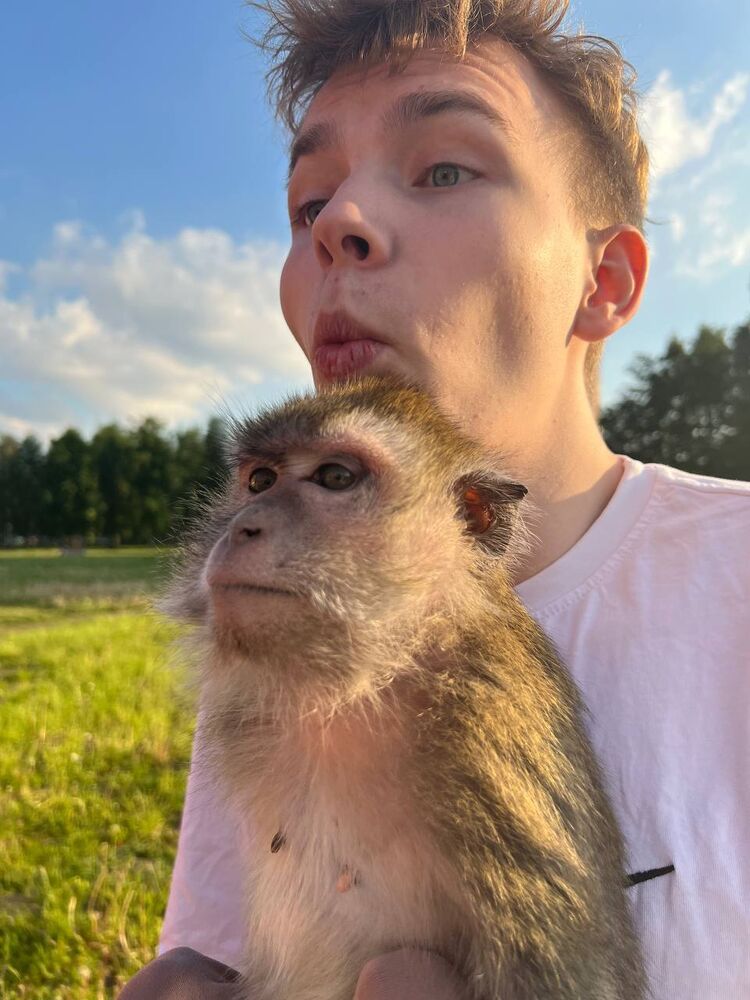 ���������� ������, ���� ����� �����, 22 ����, ������������ ��� ������, ����� � ���������, c�������� ���������, ���������