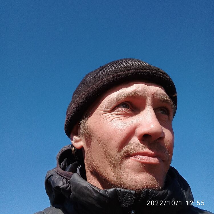  45147635  , 39 ,    