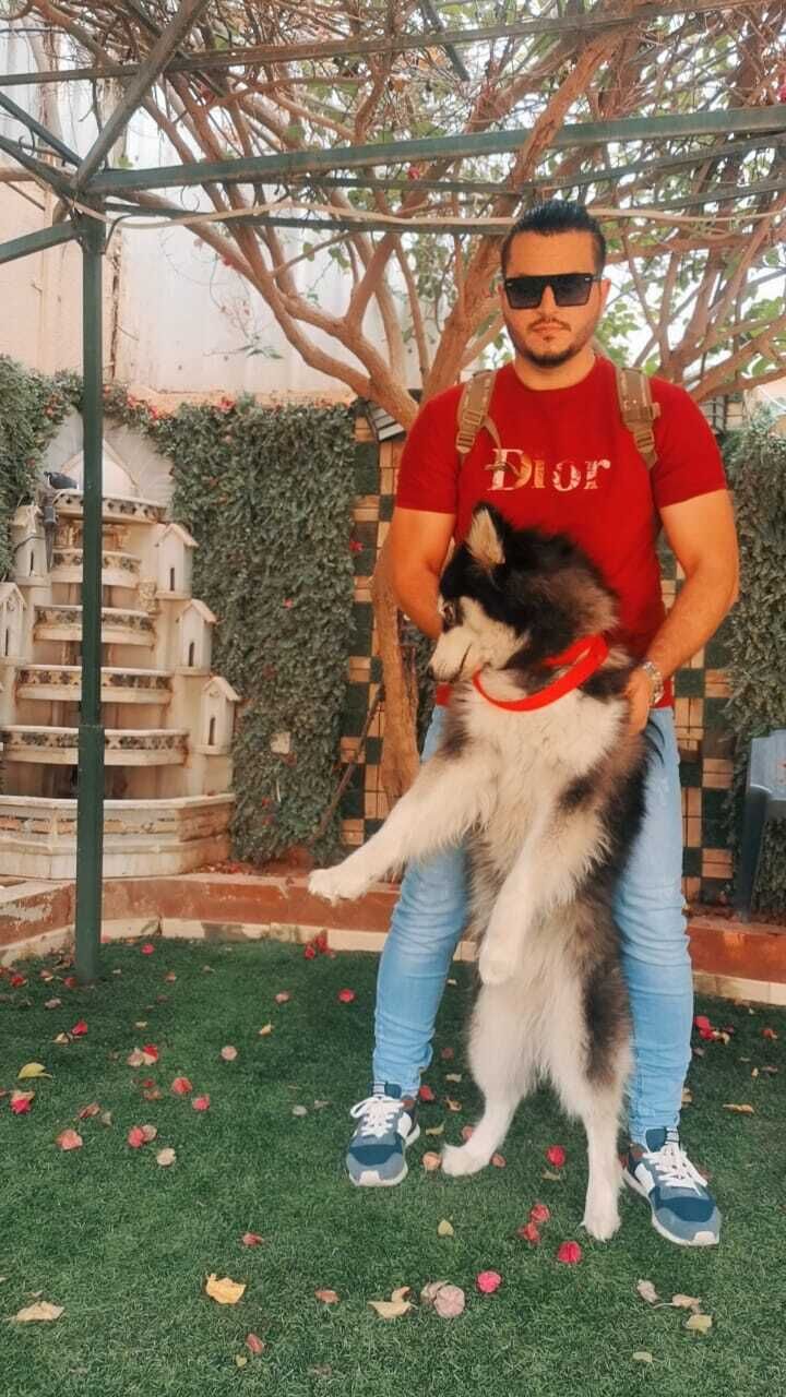  37127195  Asad, 34 ,    