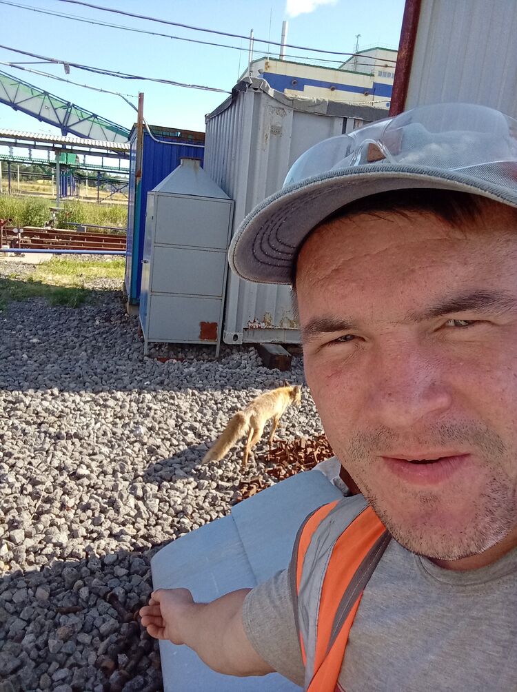 ���� 28140465 ������� ���������, 35 ���, ���� ���������� � ���������