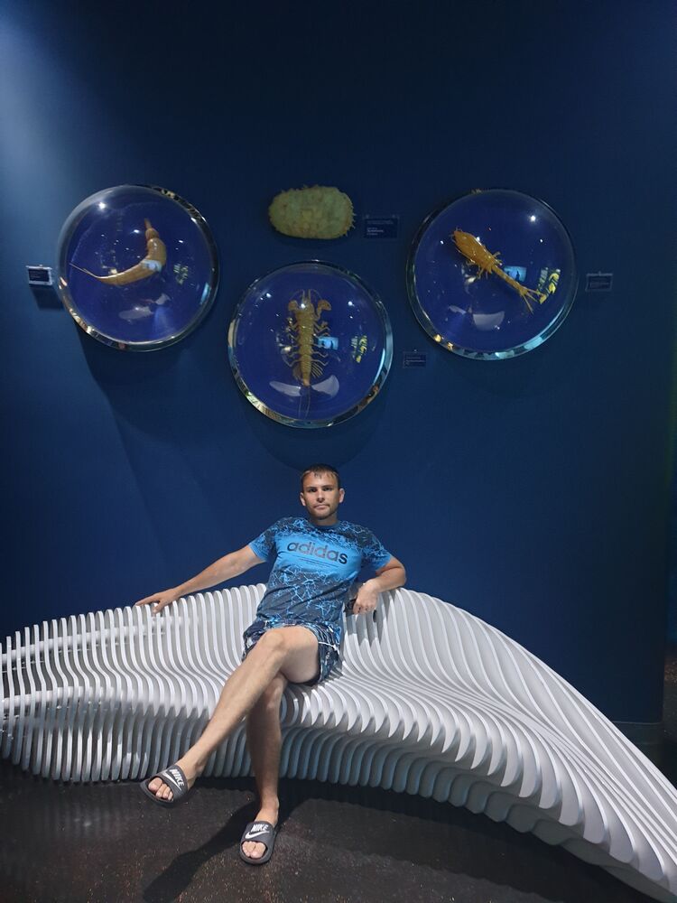  ,   , 29 ,   ,   