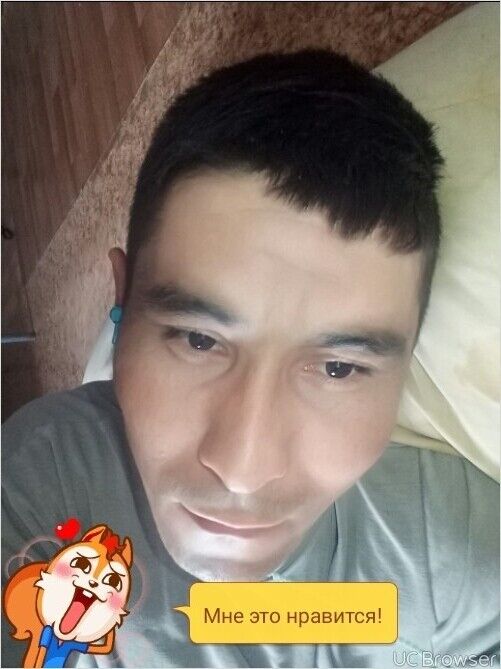  10178695  , 34 ,    
