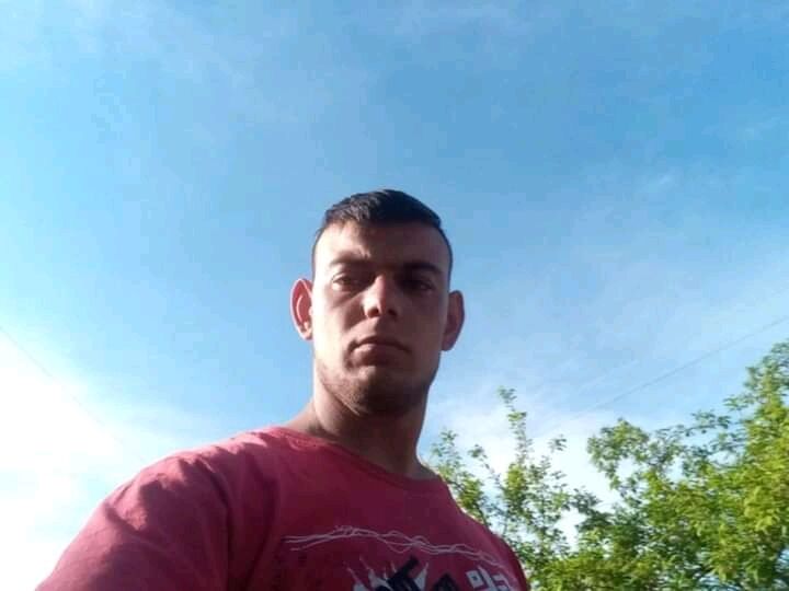 ���� 24208795 ������� �������, 29 ���, ���� ���������� � ���������������