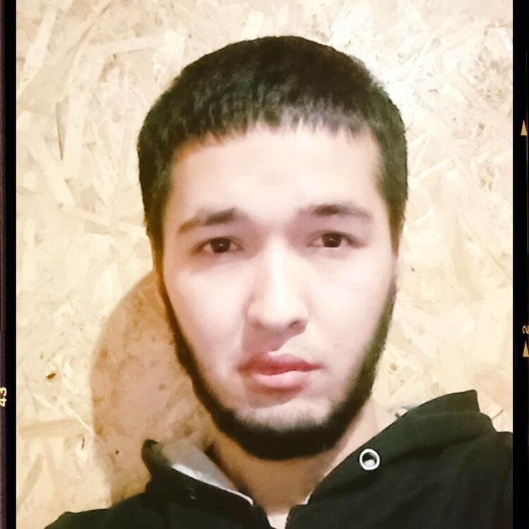  22781195  Timur, 25 ,    