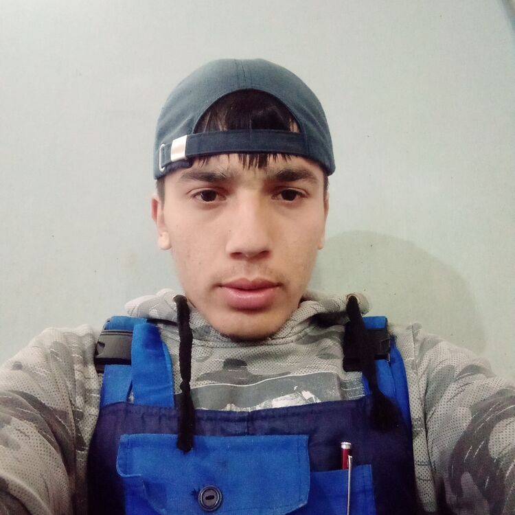  38346355  , 21 ,    