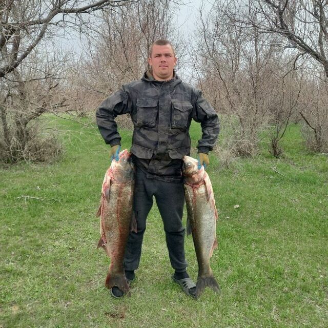 ���������� ���������, ���� ������� �������, 26 ���, ������������ ��� ����� � ���������, c�������� ���������