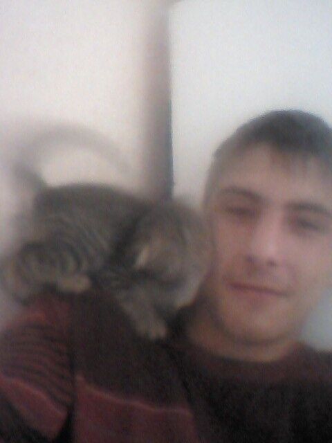  ,   , 28 ,   ,   , c 