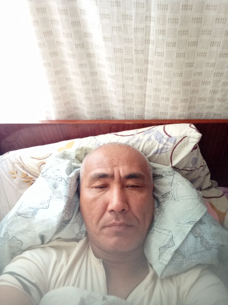 43443145  , 48 ,    