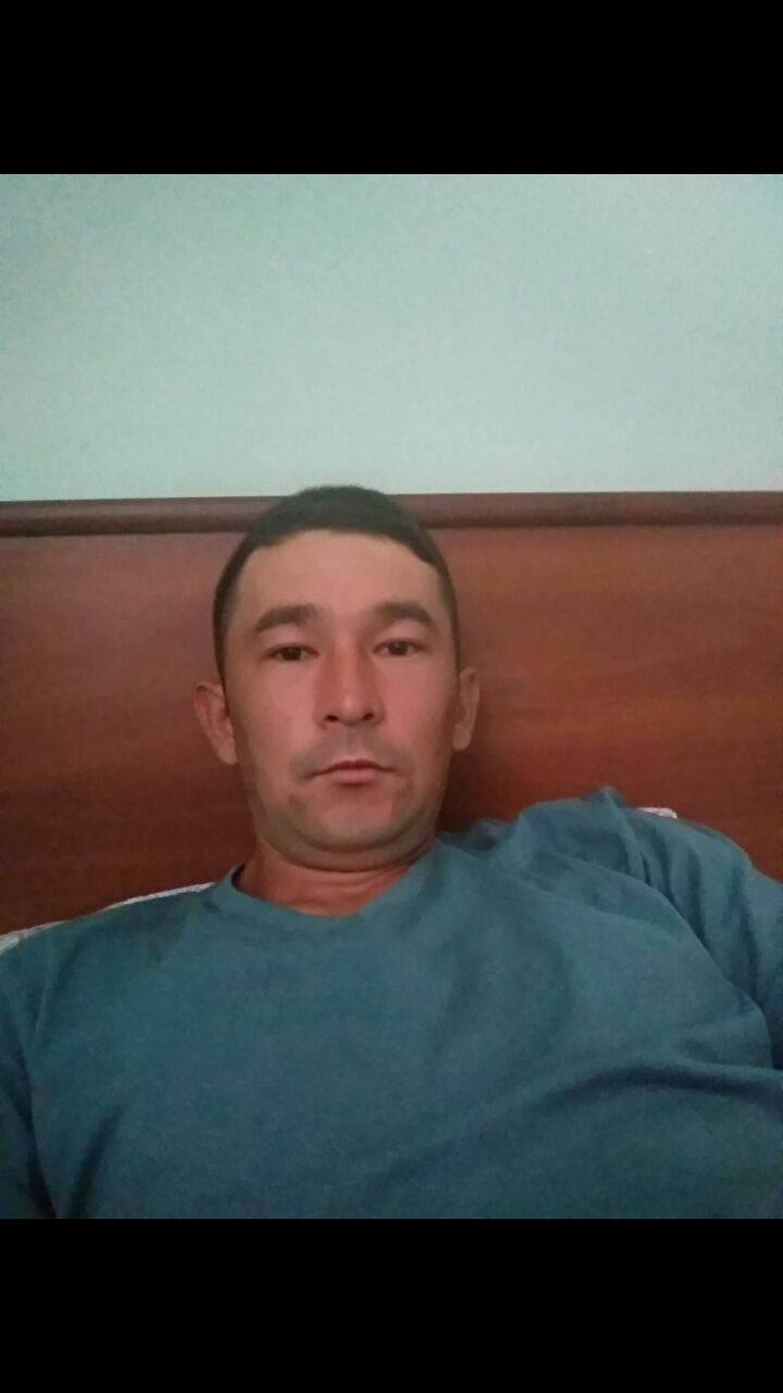  33602535  , 29 ,    