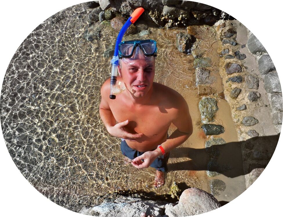 ���������� ���������, ���� ������� ����, 38 ���, ������������ ��� ������, ����� � ���������, c�������� ���������, ���������