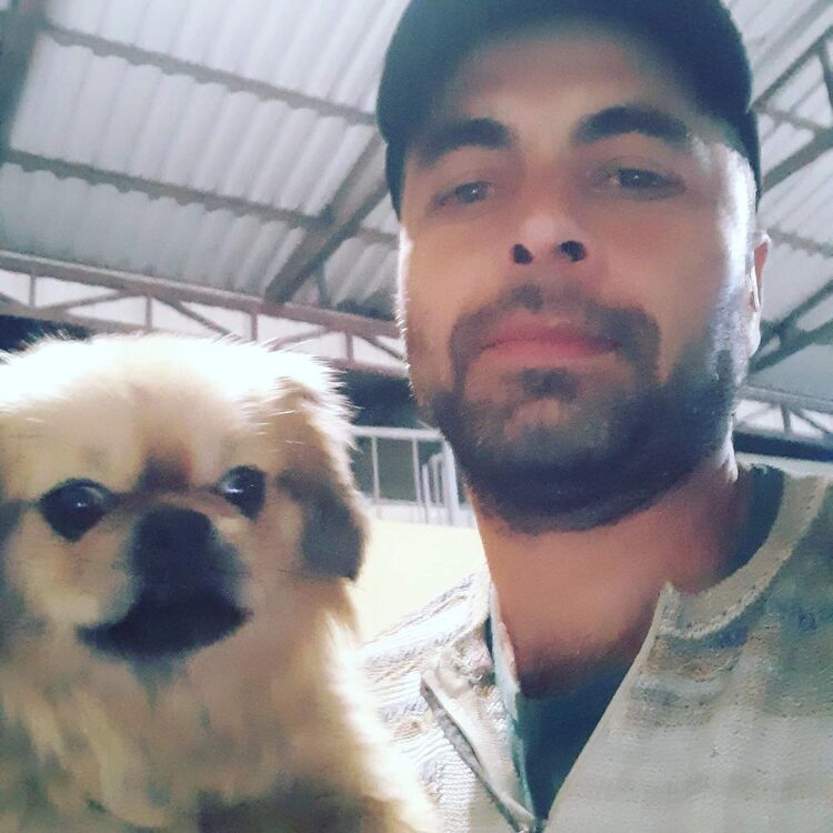 ���������� ���������, ���� ������� ����, 42 ����, ������������ ��� ������, ����� � ���������, c�������� ���������