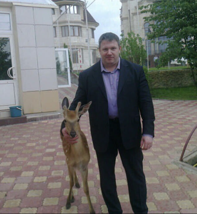 ���������� ������, ���� ������� ������, 47 ���, ������������ ��� ������, ����� � ���������