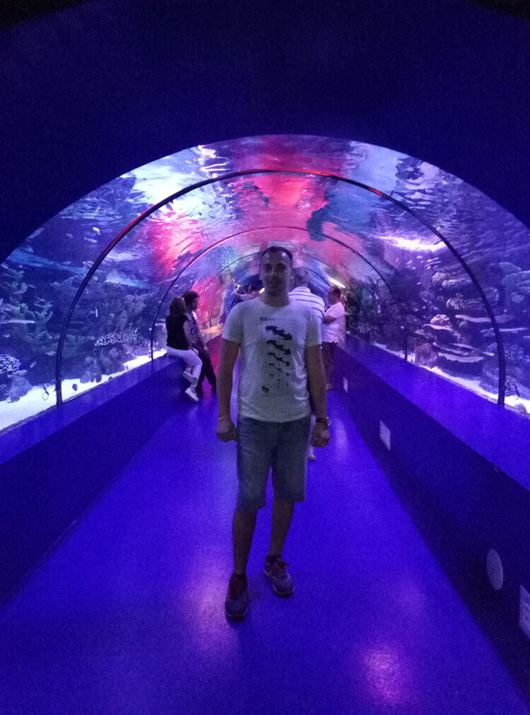  ,   Web human, 32 ,   ,   , c , 