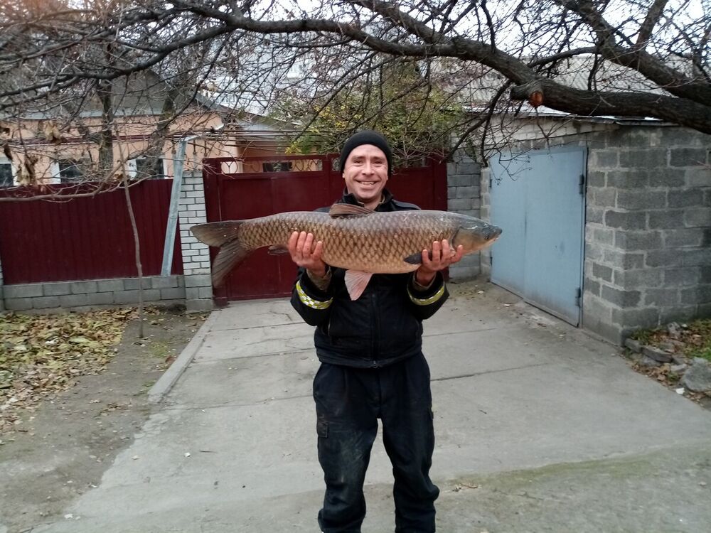 ���� 21934955 ������� �������, 41 ���, ���� ���������� � ���������������