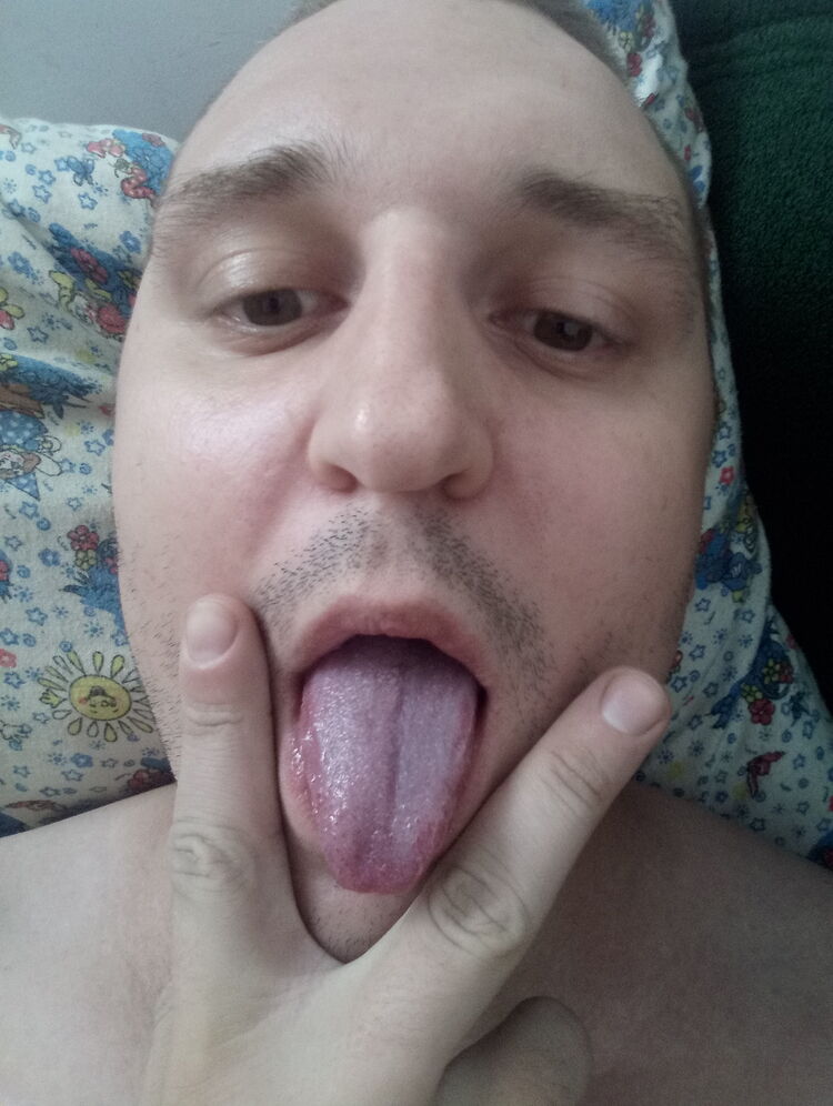  33477805  , 32 ,    