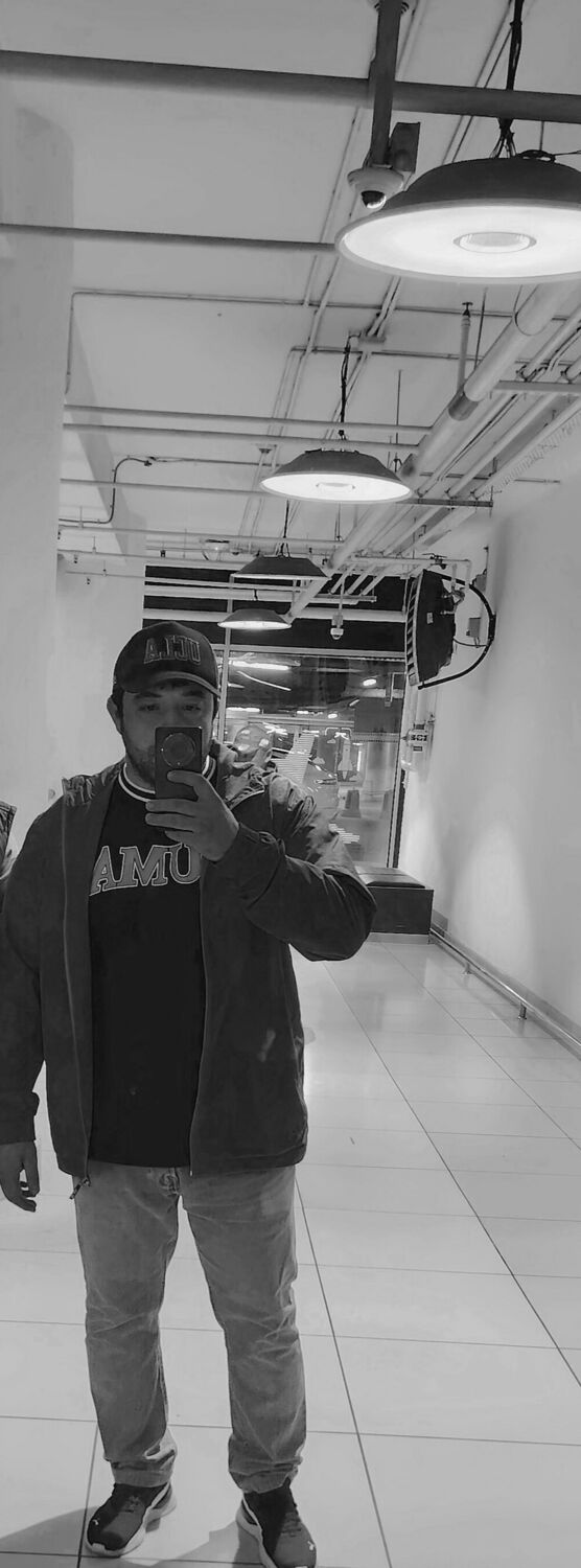 ���������� ������, ���� ������� �������, 31 ���, ������������ ��� ������, ����� � ���������, c�������� ���������, ���������