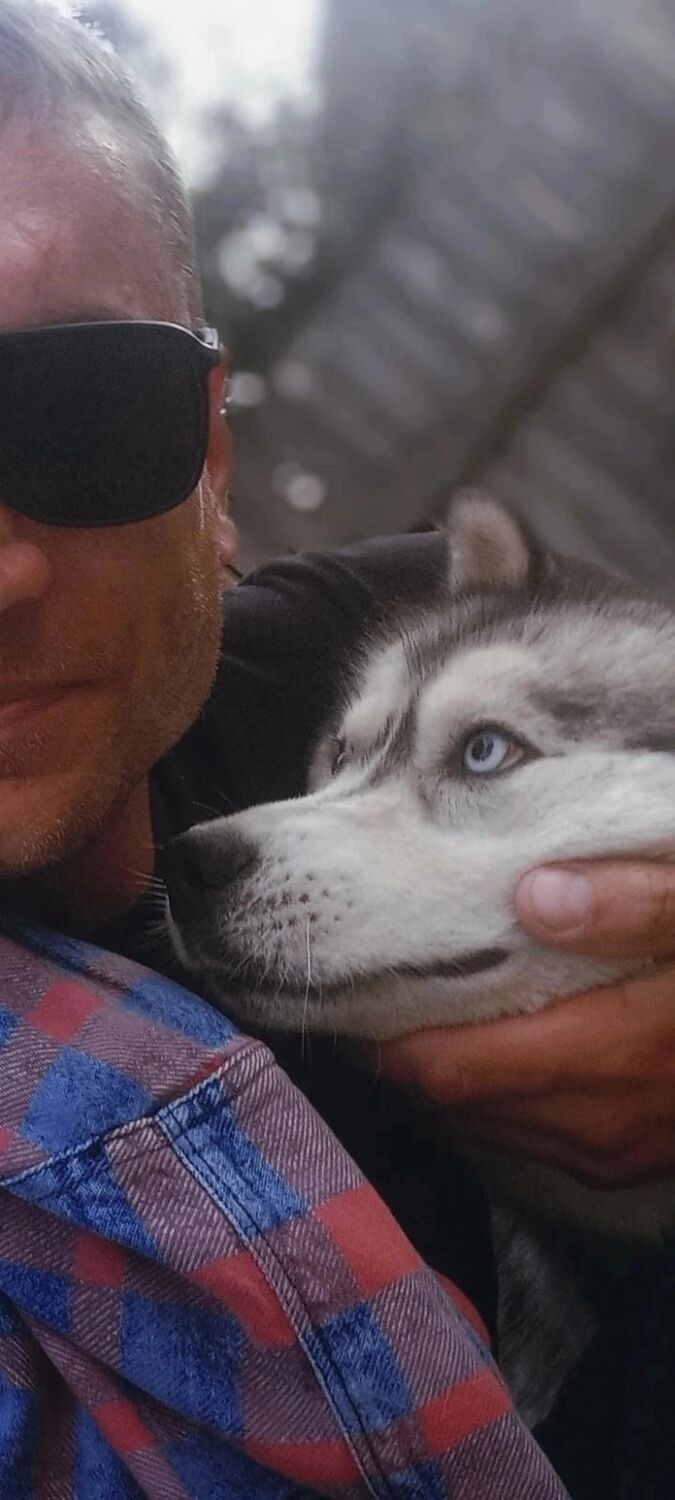 ���������� �����, ���� ������� �����, 38 ���, ������������ ��� ������, ����� � ���������