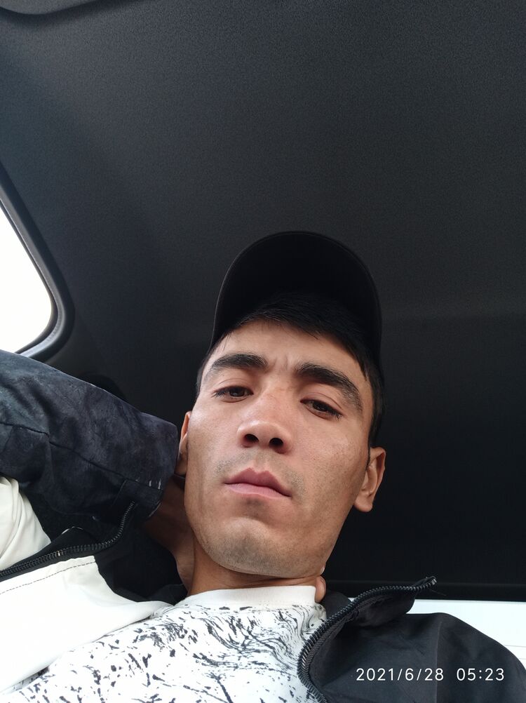  23298635   , 31 ,    