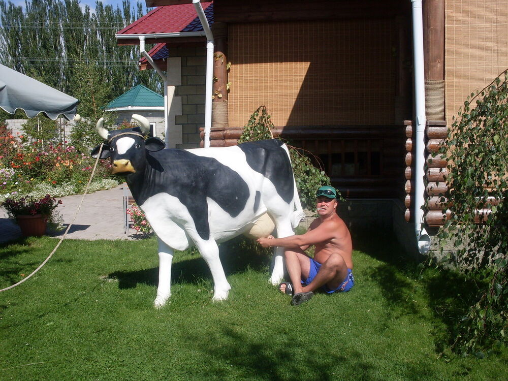 ���� 13405485 ������� BaZuKa, 50 ���, ���� ���������� � �������