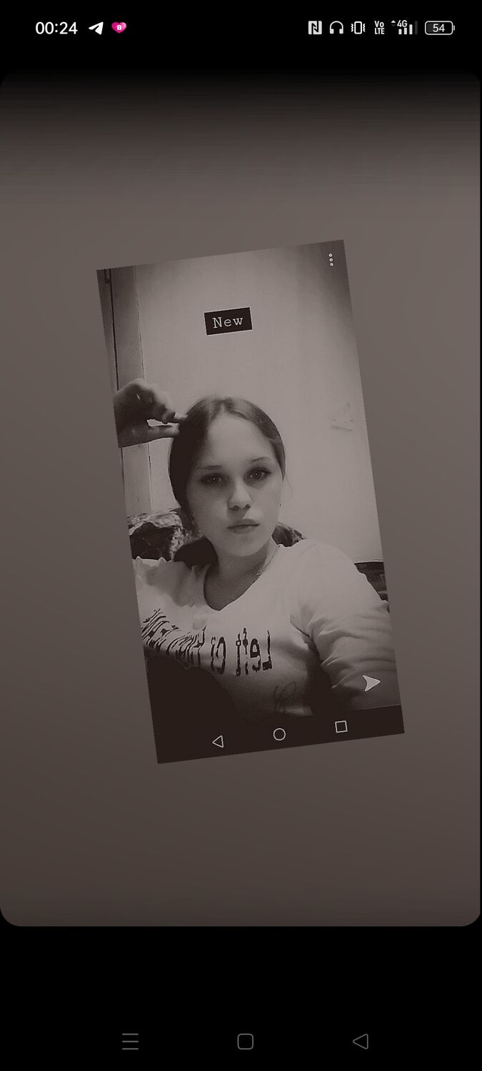  44216685  , 23 ,    