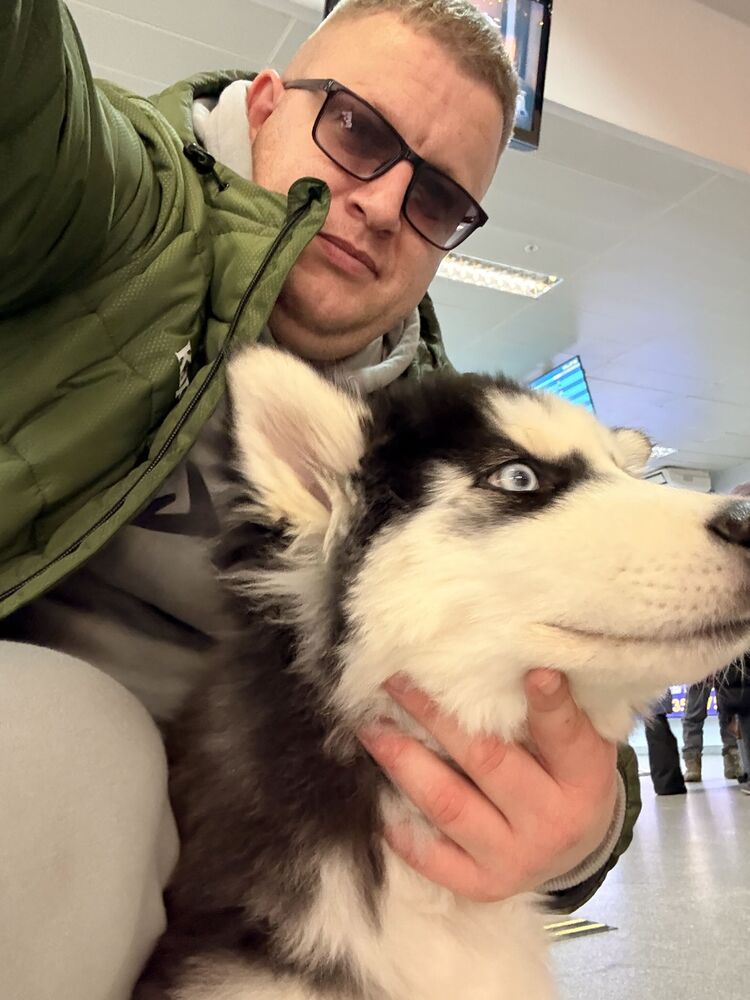 ���������� �������, ���� ������� �������, 36 ���, ������������ ��� ����� � ���������, c�������� ���������