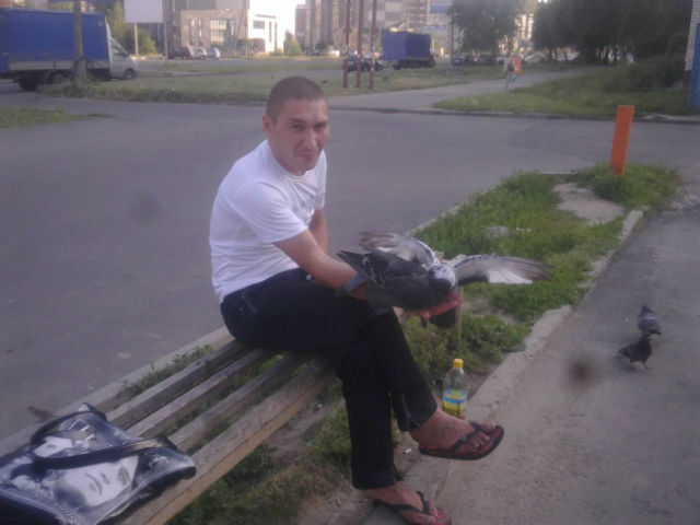 ���������� �����, ���� ������� ����, 47 ���, ������������ ��� ������