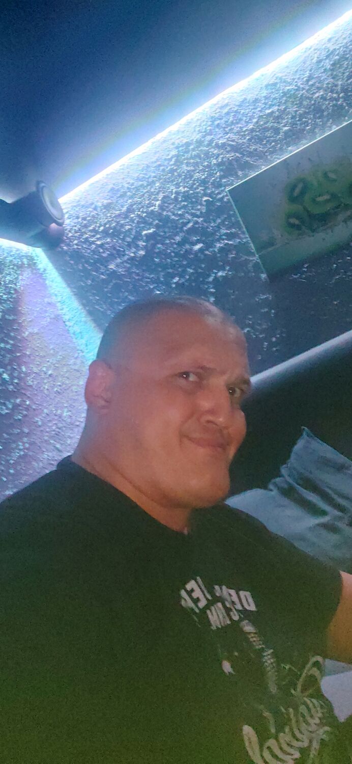  53256115  , 37 ,    -