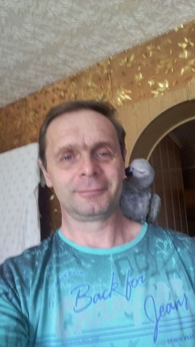  ,   , 57 ,   