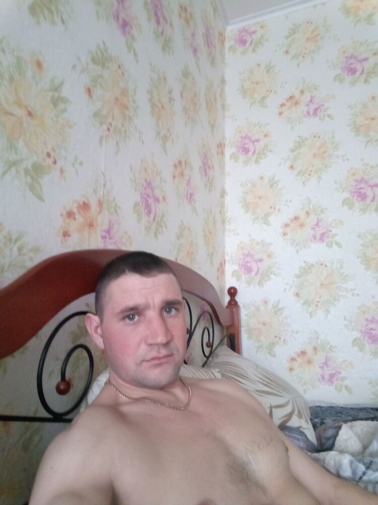  41006835  , 33 ,    
